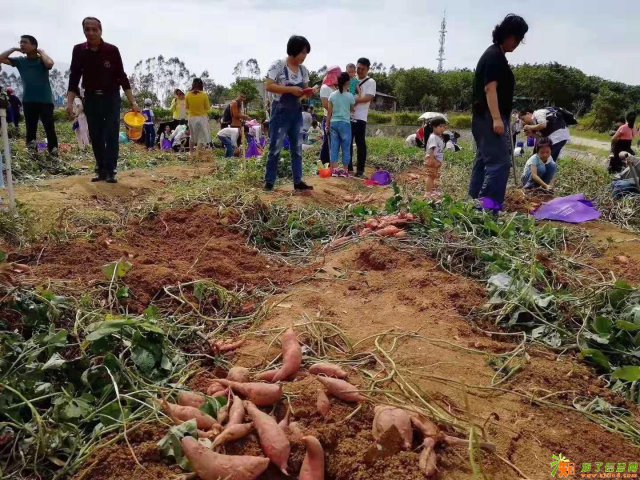 长沙望城最好的农家乐德逸山庄你敢来吗