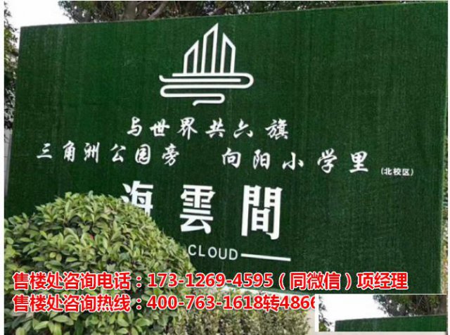 海盐海云间这么火爆！不看不知道一看吓一跳