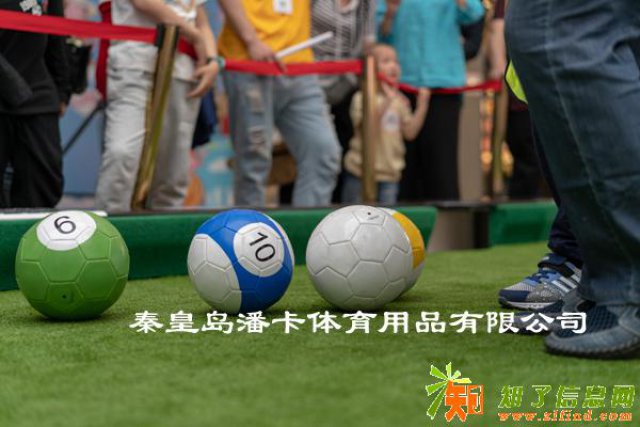 开个潘卡足球运动馆多少钱