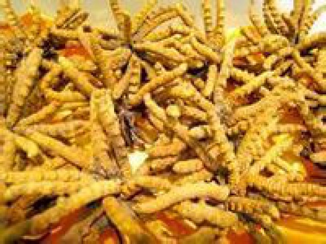 北京回收东阿阿胶回收冬虫夏草回收海参