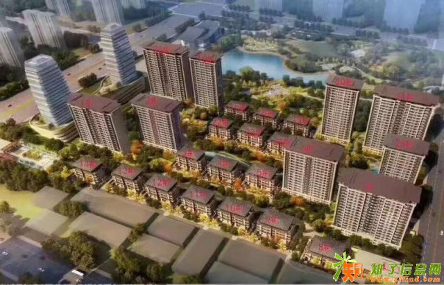 白沟芙蓉里五十个为什么全面解析