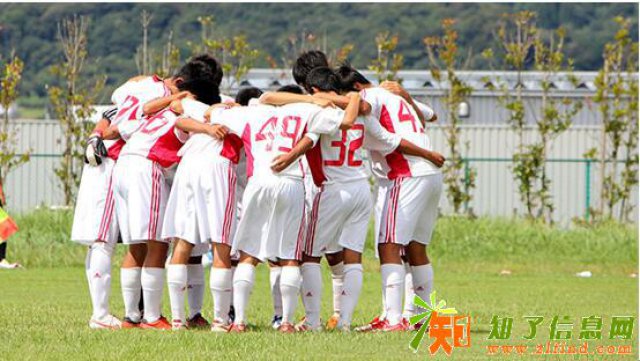 日本大学的部活有何不同