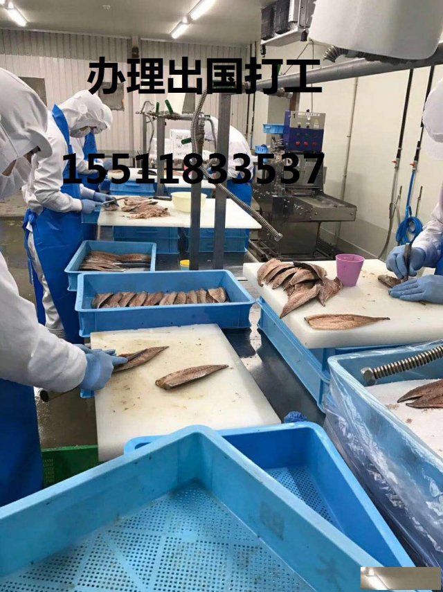 出国打工一个月能挣两万以上的国家都有哪些？