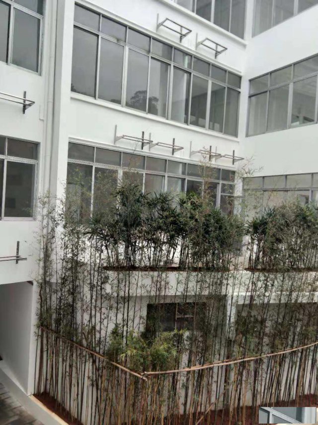 业主直租石楼商业旺地大小面积写字楼出租