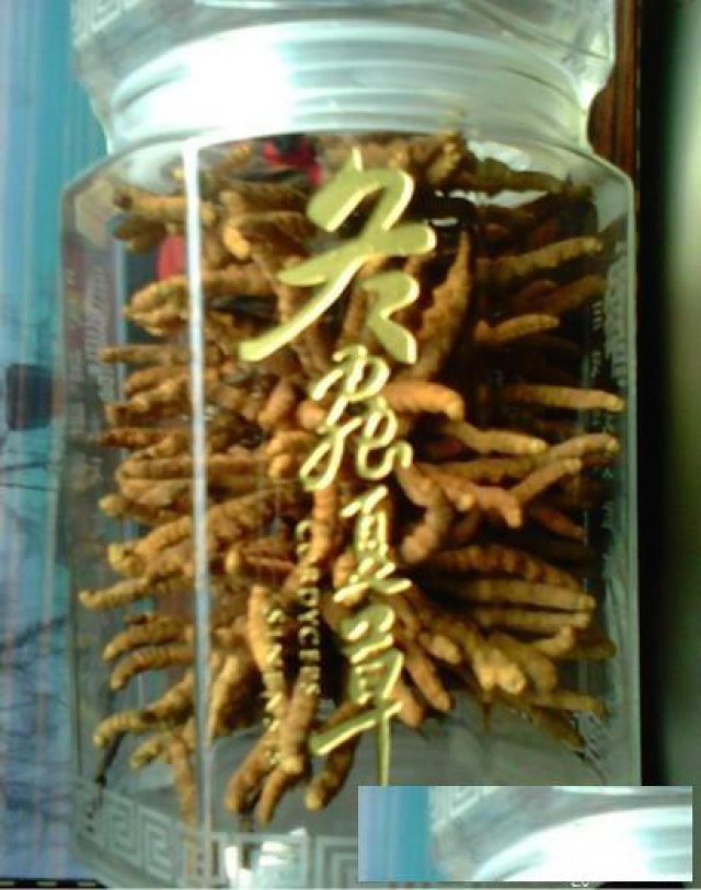 石景山回收冬虫夏草八大处收购冬虫夏草燕窝海参