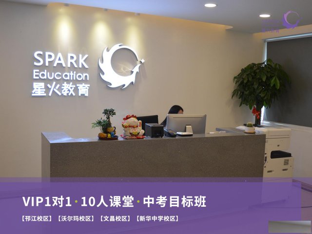 艺考文化课辅导高三寒假辅导