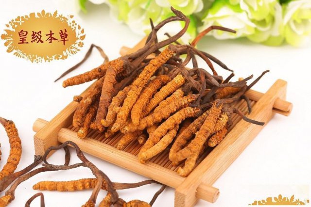 北京回收冬虫夏草回收同仁堂虫草