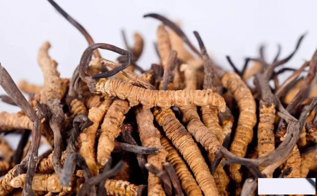 北京丰台区回收同仁堂冬虫夏草回收海参