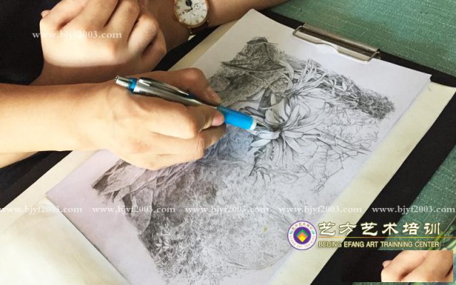 北京设计类手绘基础培训班零基础成人美术基础班热招中