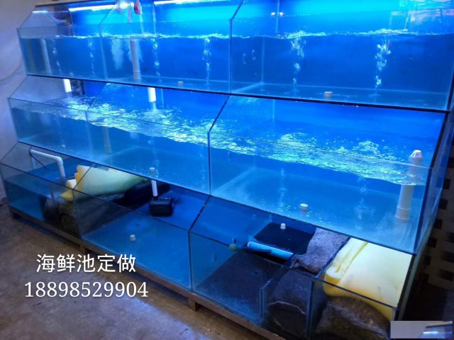 广州花都海鲜池定制花都梯面小龙虾海鲜池定制