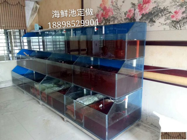 广州花都专业海鲜池定制花都花山小龙虾鱼池订做