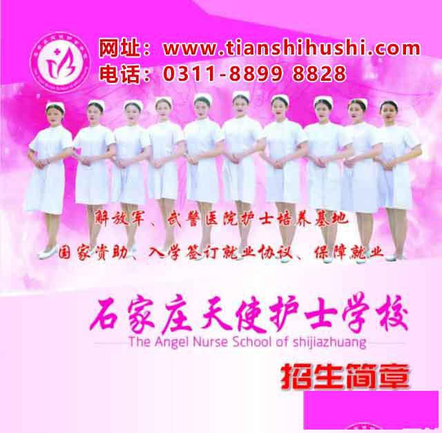 石家庄天使护士学校2019年秋季招生录取分数线多少