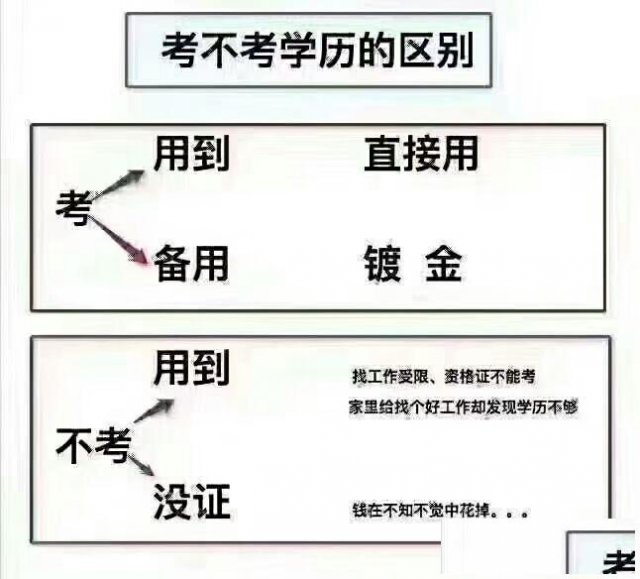 关于学历提升与报考