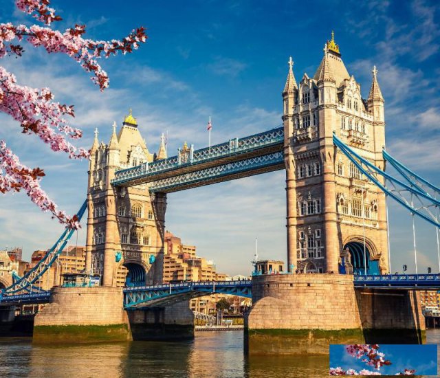 国内外游学v研学v留学招生