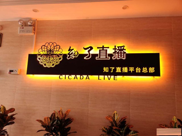 知了直播全国火热招商