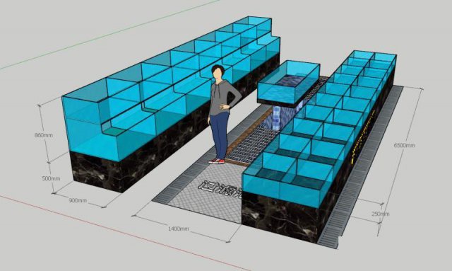 广州龙鱼海鲜鱼池价格|广州普通海鲜鱼池多少钱