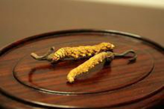 昌平区回收冬虫夏草回收燕窝海参回收东阿阿胶鱼胶