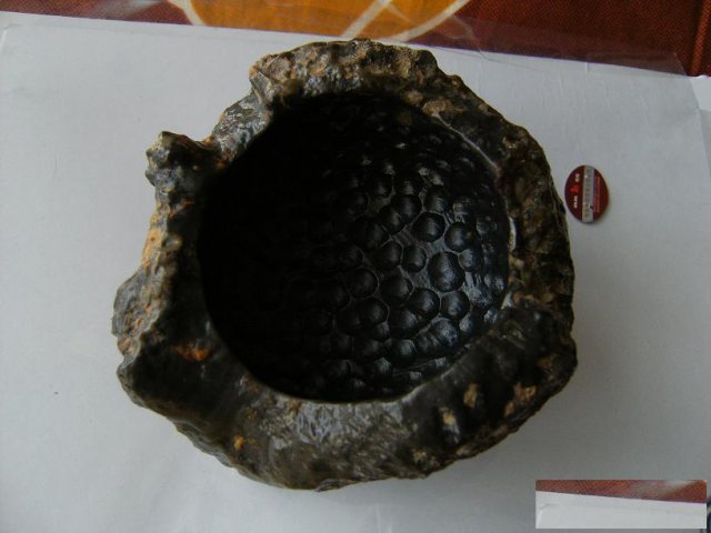 石陨石的成交记录