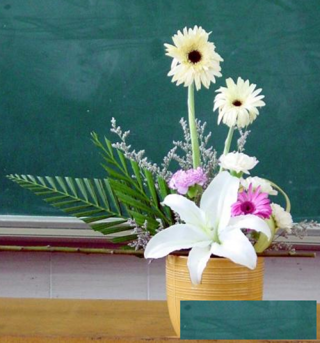 三亚花艺师培训报名机构