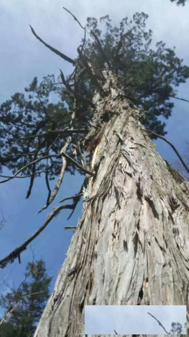 既然已经选择了，就坚持爱下去吧！