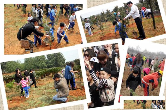 武汉好玩的农家乐