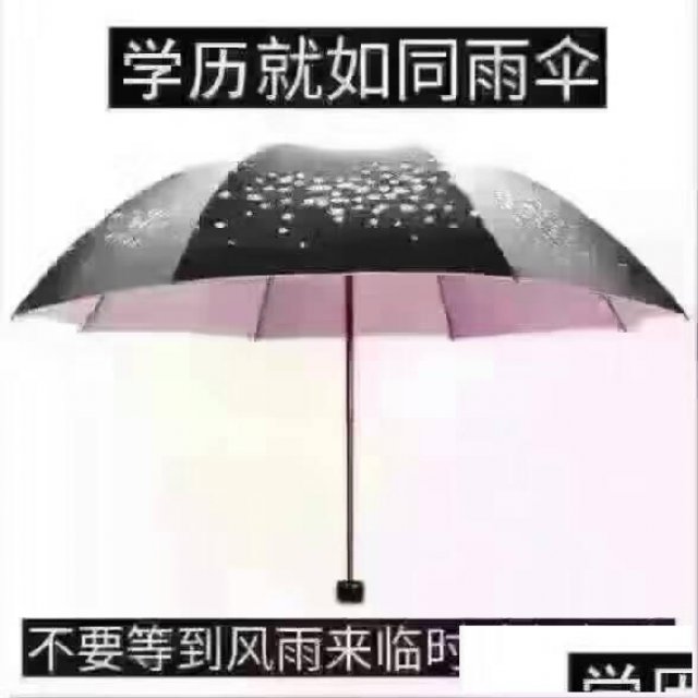双流报读大专，专本套读