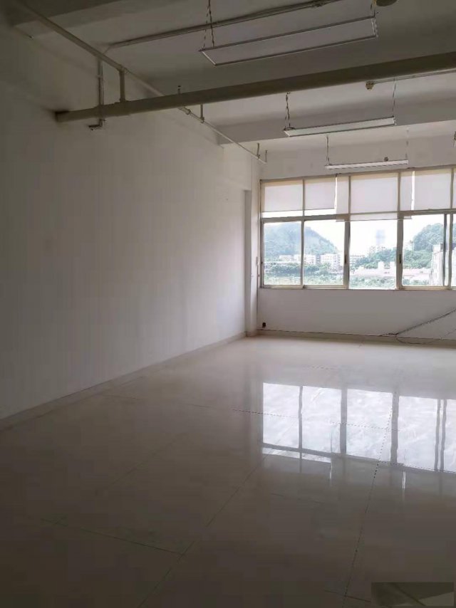 石楼出租黄金地段可注册写字楼免中介费