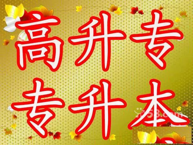 济宁2019年成人高考提升大专本科招生办