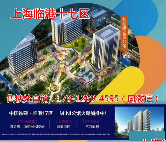 上海临港十七区简直太不可思议了！