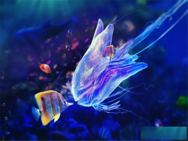 南浔金成壹品高端,品质,见证,品牌!