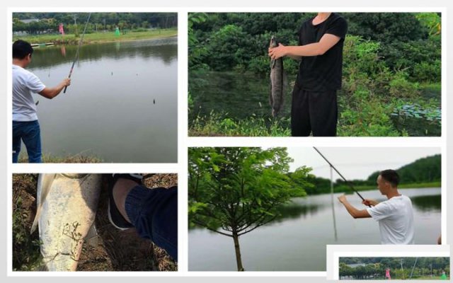 旅游大巴司机告诉你：光谷周边公司拓展去乐农农庄值得一去的理由