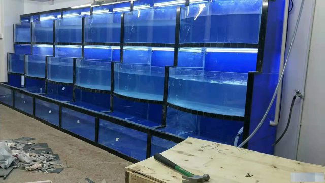 肇庆餐饮海鲜池定做价格肇庆水产店海鲜池定做安装多少钱