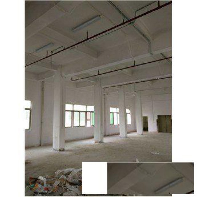 浦东塘桥厂房内外墙粉刷旧墙翻新办公室装修