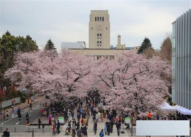 靖江日语培训，靖江零基础学习日语培训班