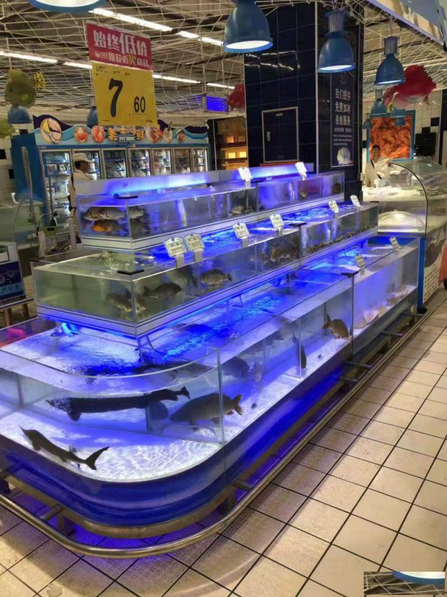 中山超市海鲜池-好水族全国销售-中山海鲜池-