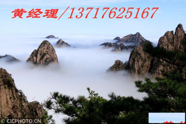 朝阳教育咨询公司转让经营范围带舞蹈声乐培训