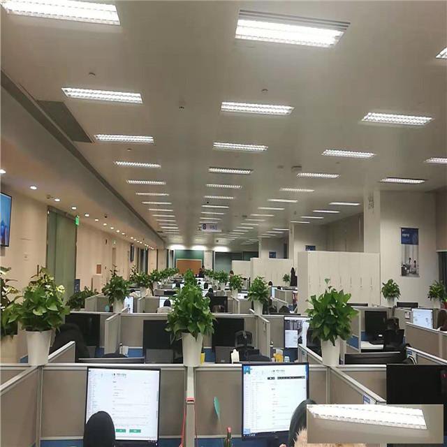 天津花卉租摆公司_写字楼花卉租赁公司_花卉销售配送服务