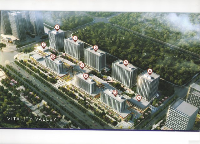 京雄世贸港-京雄世贸港