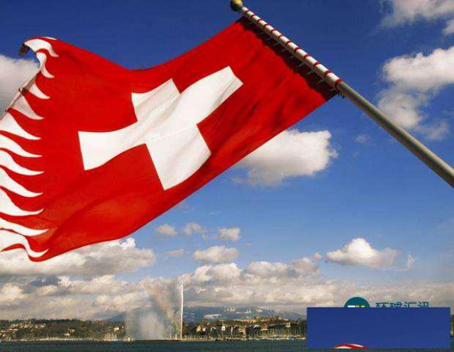 国内应该如何成立瑞士公司