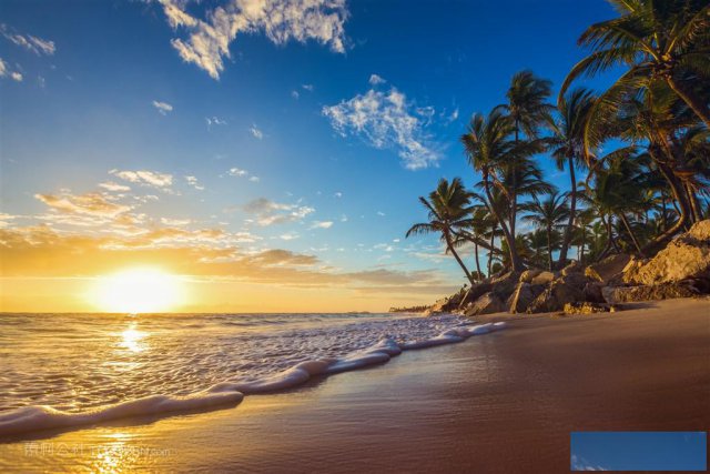 2020欧盟爱沙尼亚MTR牌照政策预览