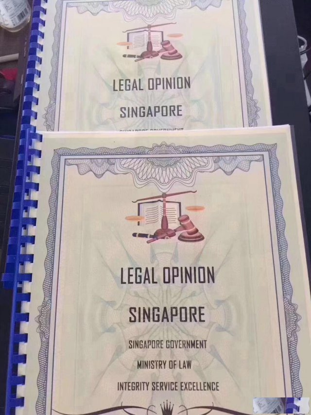 新加坡的基金会注册流程解