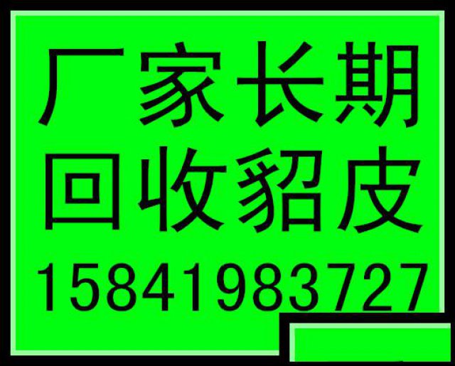 上海收皮草的上海回收貂皮的上海回收皮草的