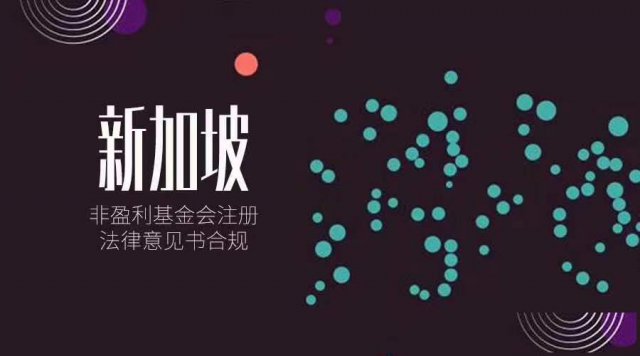 区块链项目新加坡基金会和新加坡普通公司哪个更好