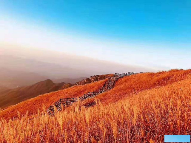 注册公司人员要求几个人