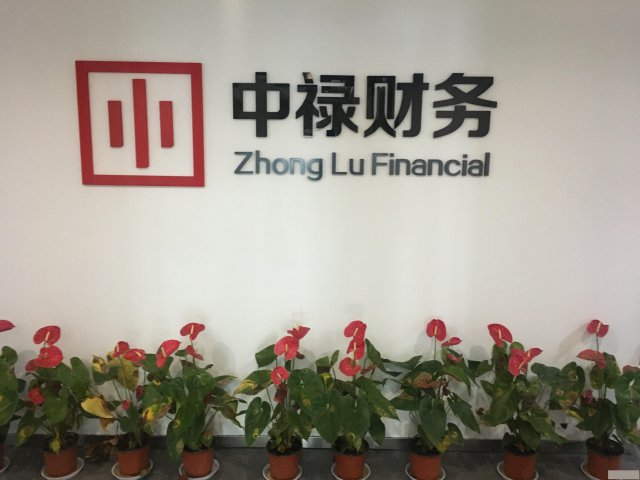 中禄财务专业注册公司、代理记账即送章