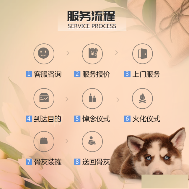 宠物火化的好处