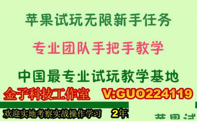 试玩无限刷金子科技工作室