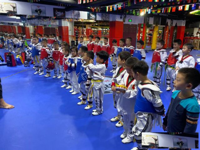 搏击散打跆拳道武术女子防身术青少儿体适能