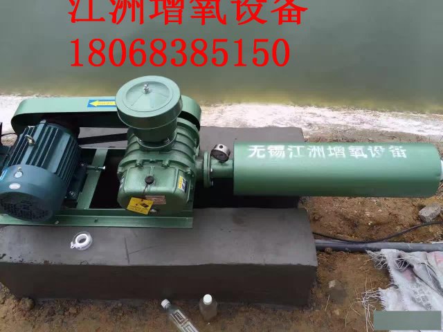 二叶罗茨风机2.2KW50型号380V