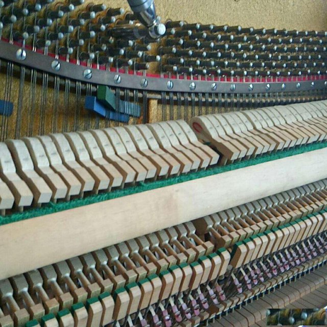 保定及周边县钢琴调律丨钢琴调音丨钢琴保养高级调音师